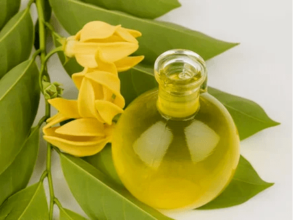 Aromaterapija za izboljšanje potenciala